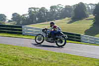 Vintage-motorcycle-club;eventdigitalimages;mallory-park;mallory-park-trackday-photographs;no-limits-trackdays;peter-wileman-photography;trackday-digital-images;trackday-photos;vmcc-festival-1000-bikes-photographs